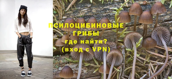 ГАЛЛЮЦИНОГЕННЫЕ ГРИБЫ Покров