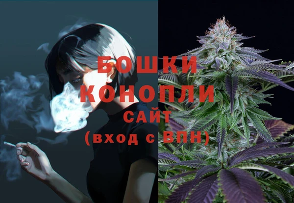 спиды Покачи