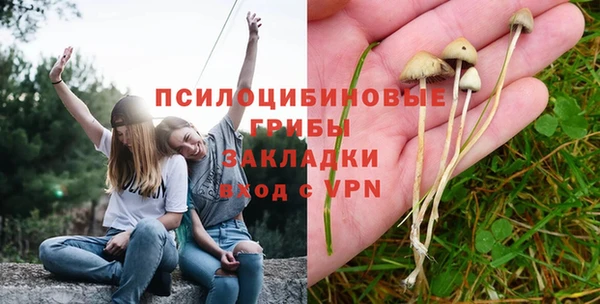 спиды Покачи