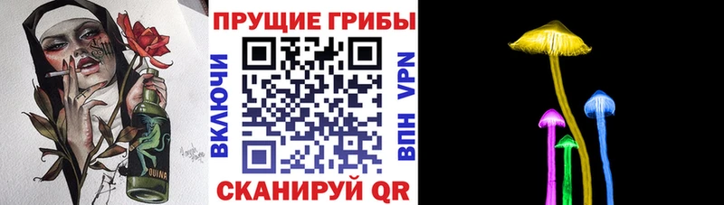 Псилоцибиновые грибы GOLDEN TEACHER купить цена Фатеж